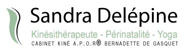 Logo Sandra Delépine, Kinésithérapeute - Périnatalité - Yoga - Lentigny, Roanne